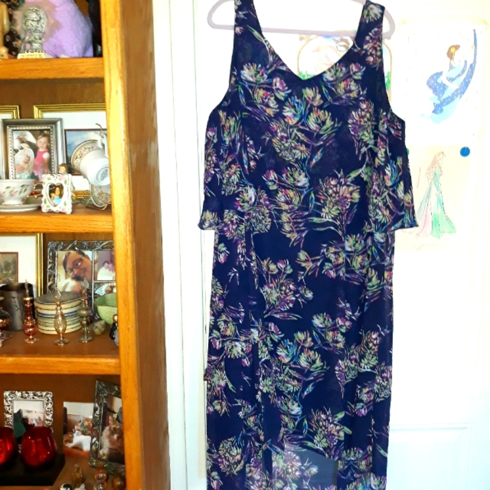 Color Burst high low hem Dress 24W